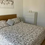 Small Oasis I